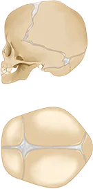 icon-2-copiar.webp