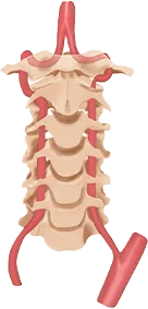 icon-3-copiar.webp